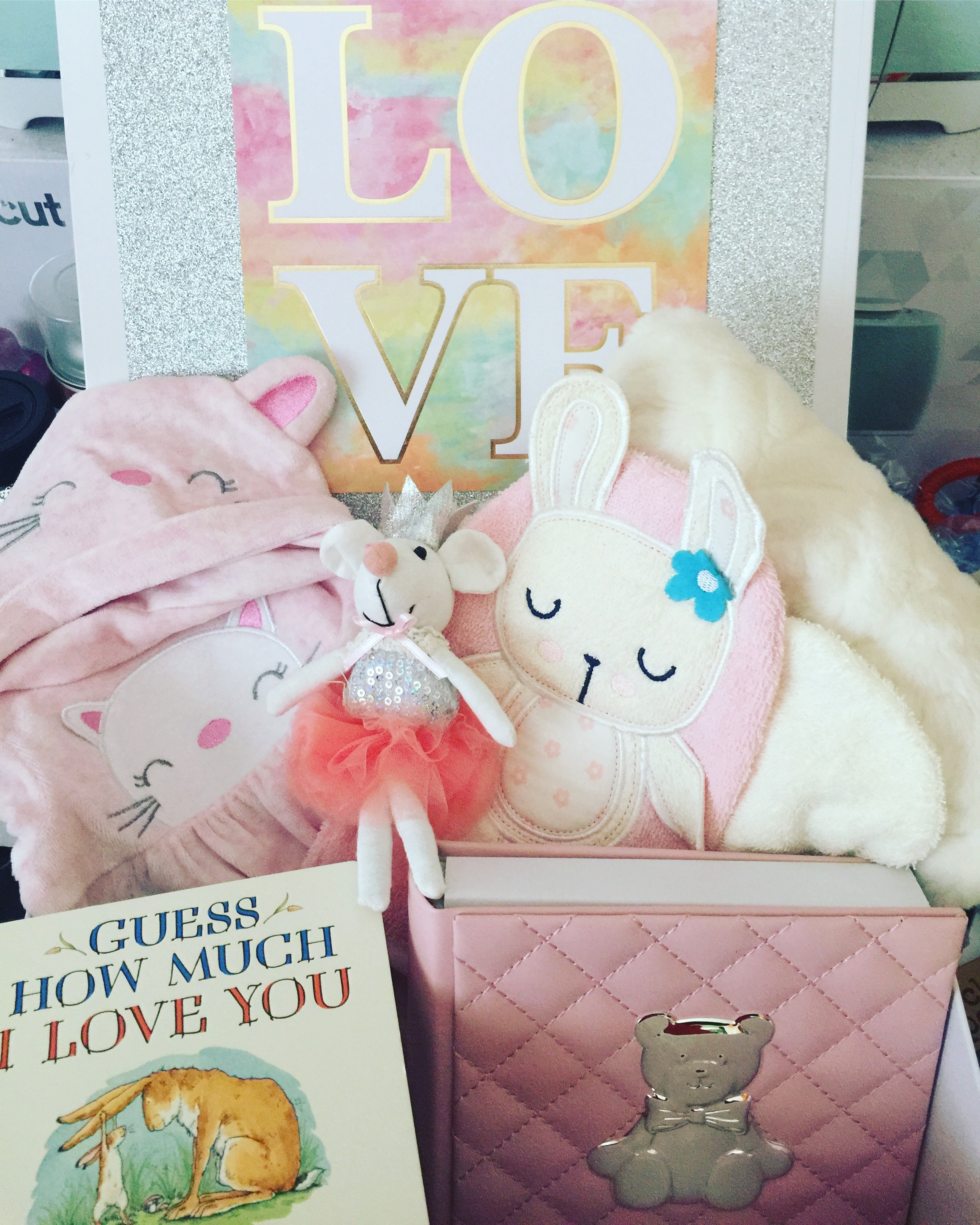 Baby Girl Box WT-PK2000