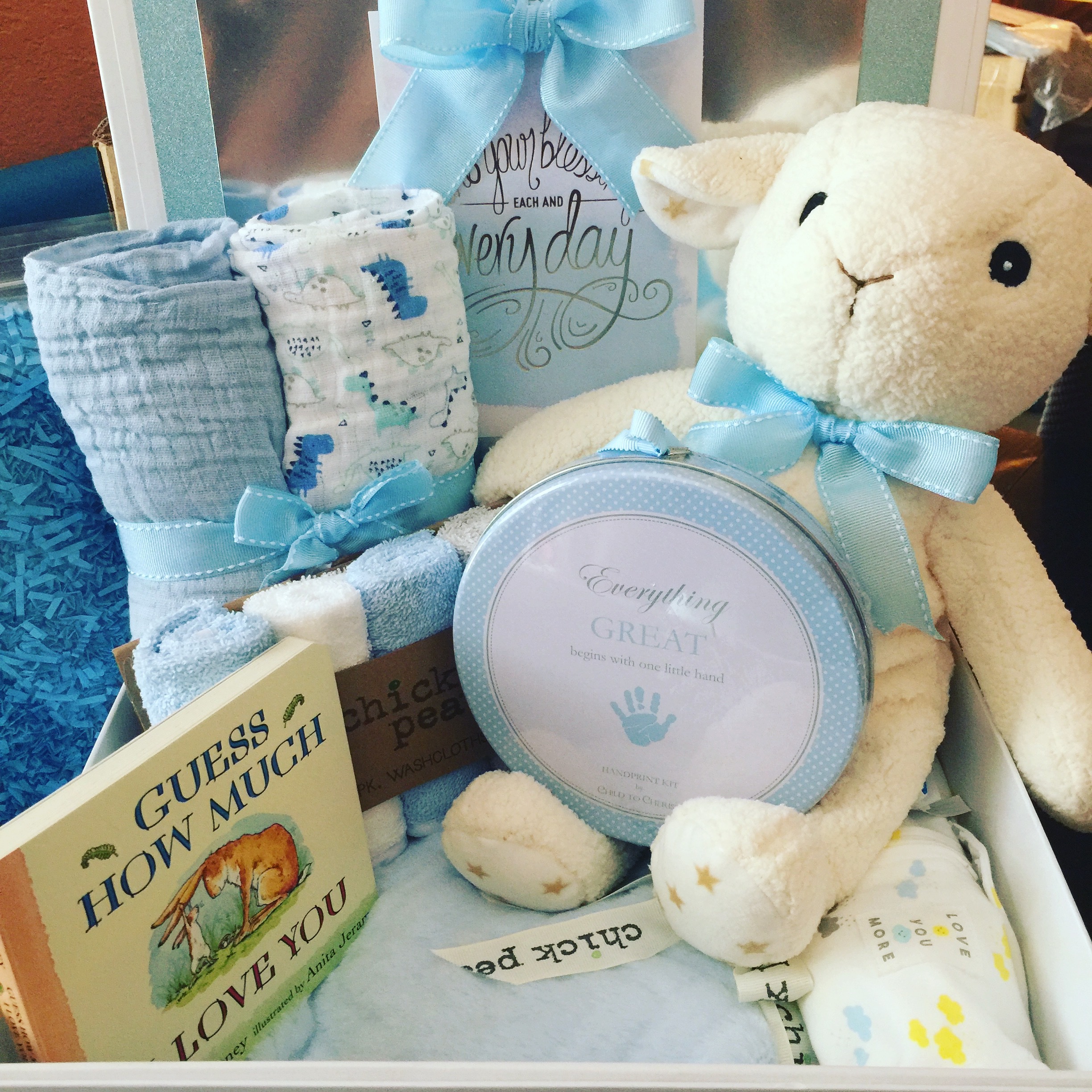 Baby Boy Box WT-BL2000
