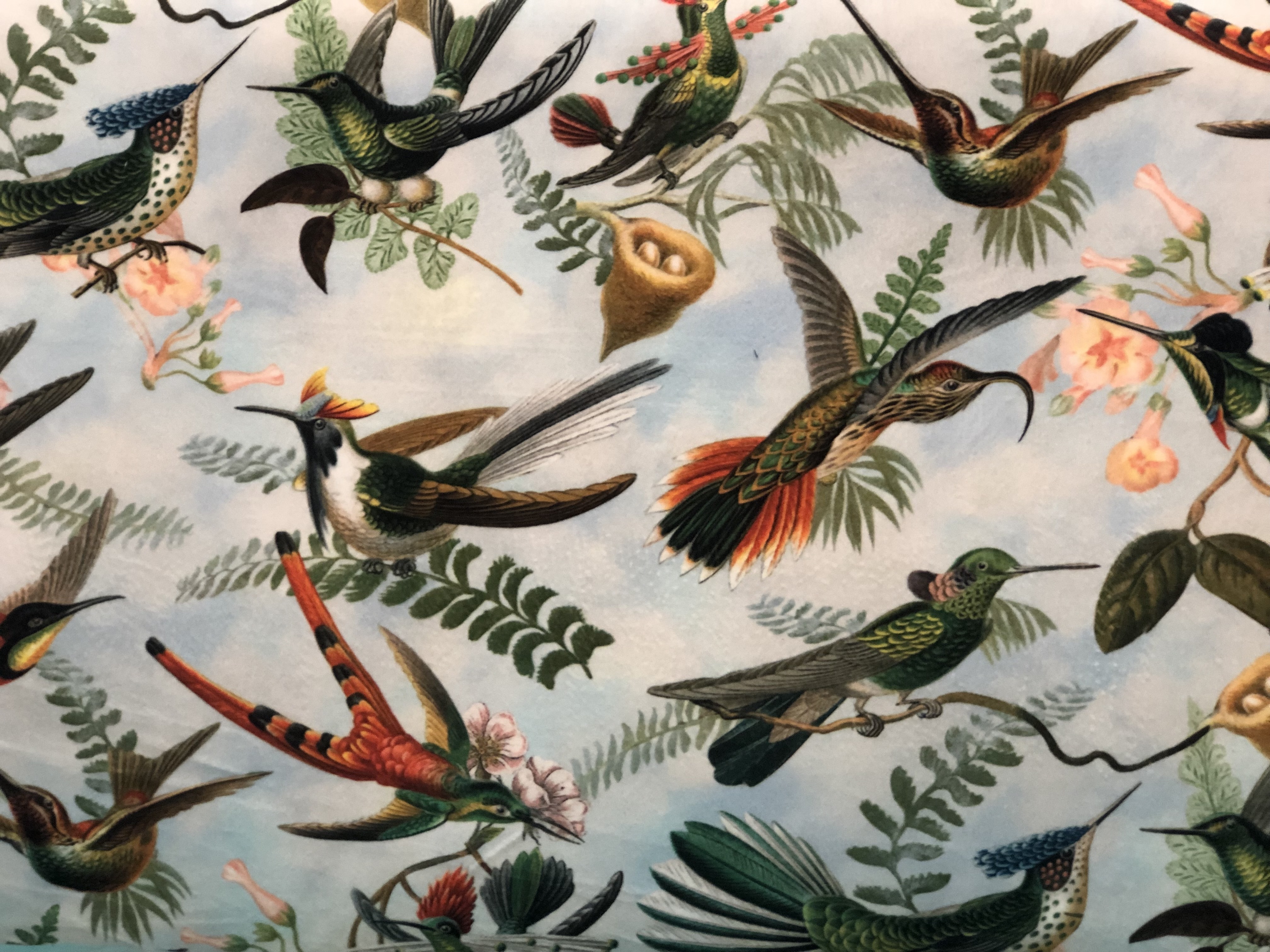 Birds Velvet Crush 00024
