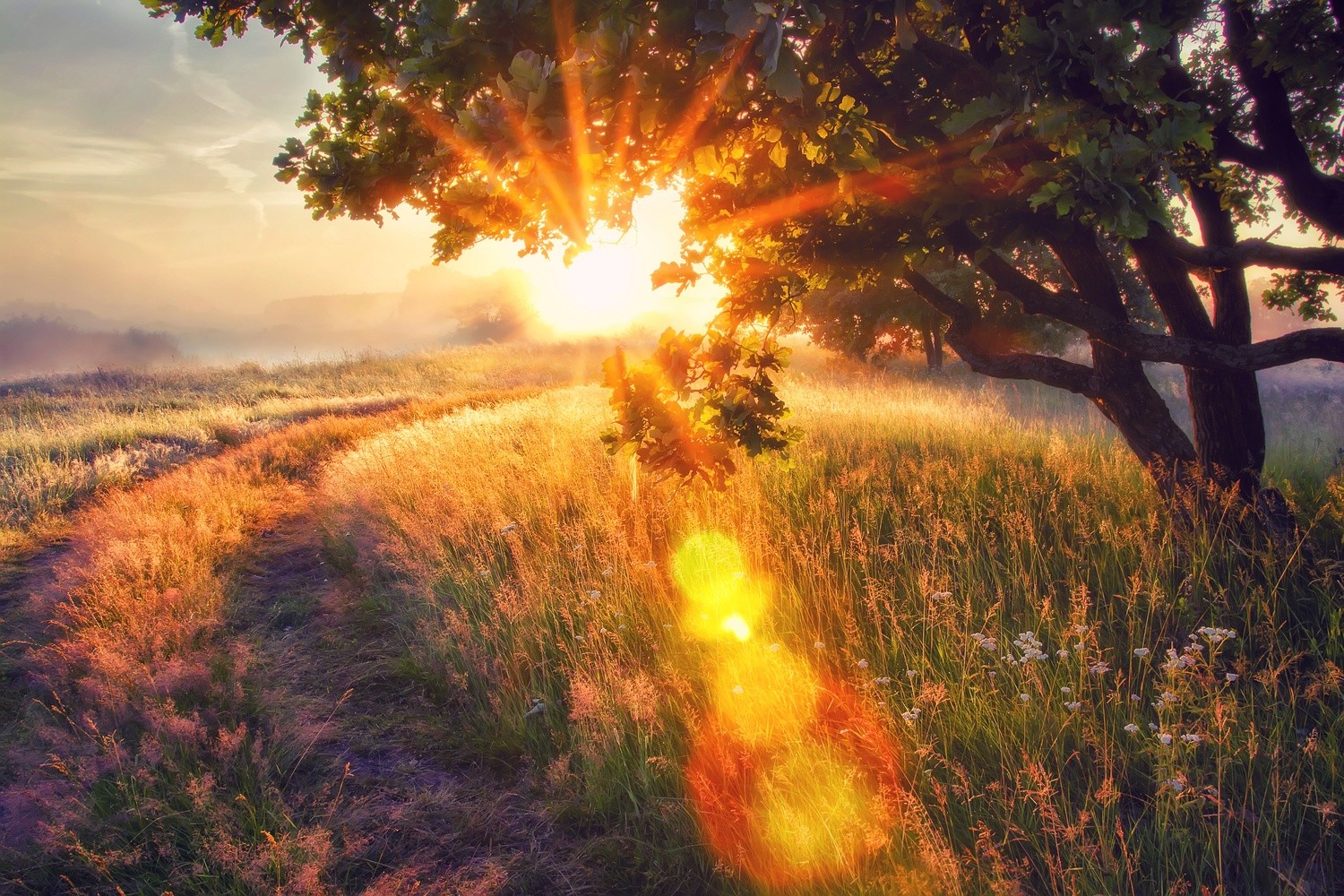 Mother Earth Grounding Meditation Mother Earth Grounding Meditation