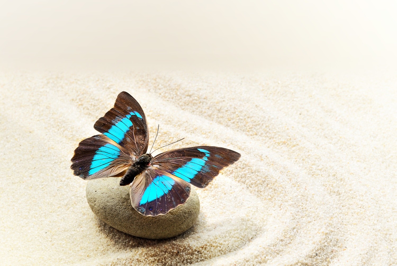Morning & Evening Meditation Combo Morning & Evening Meditation Combo