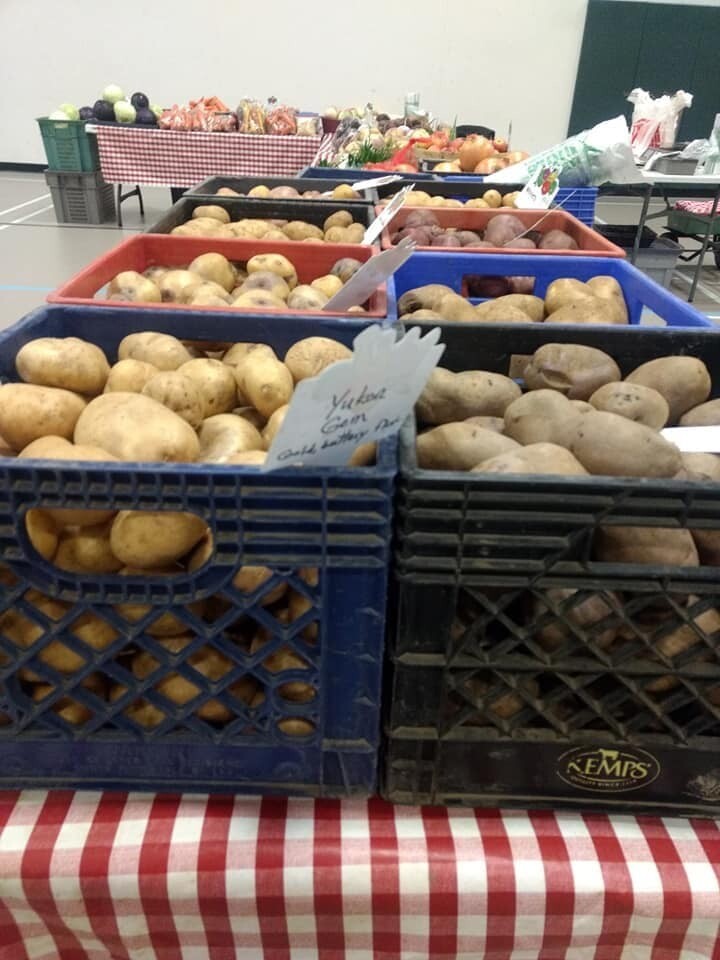 Vegetables, Yukon Gold Potatoes, 5 lb bag