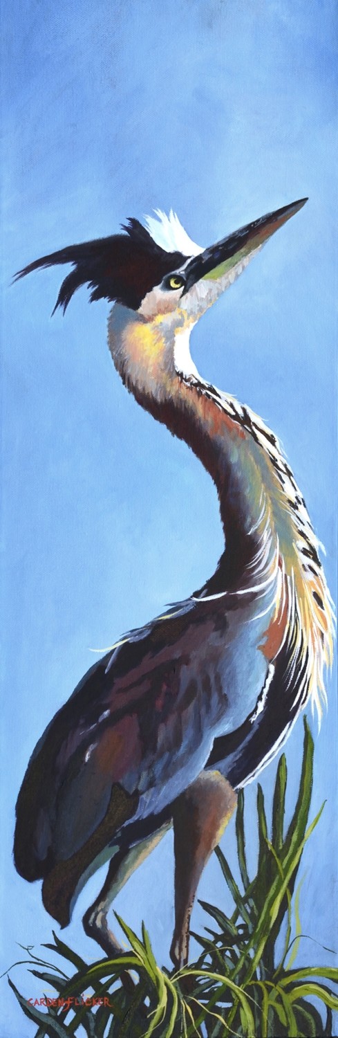 Proud Heron - SCF007 Proud Heron - SCF007