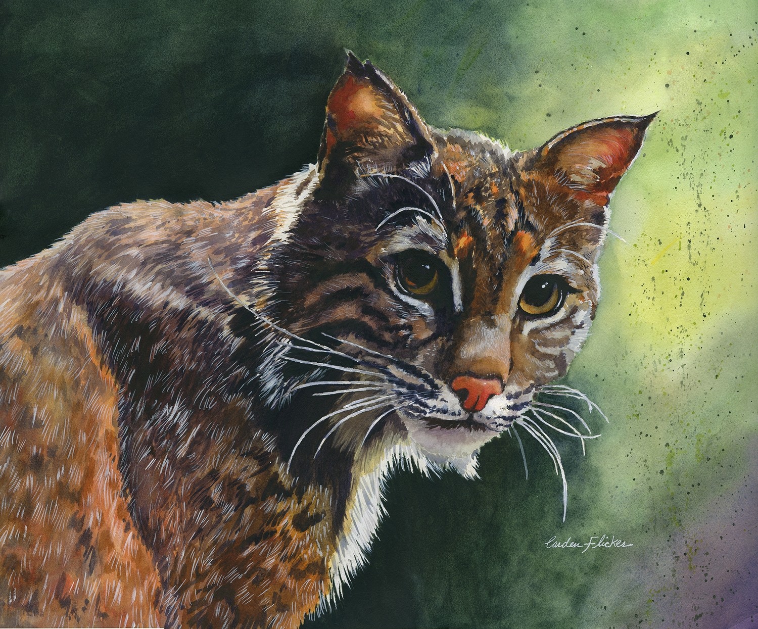 Golden Eyes Bobcat-giclee 11x14 Golden Eyes Bobcat-giclee 11x14
