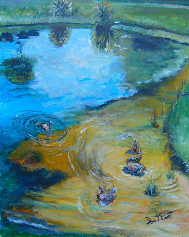 Duck Pond N. Wickham Park Duck Pond N. Wickham Park
