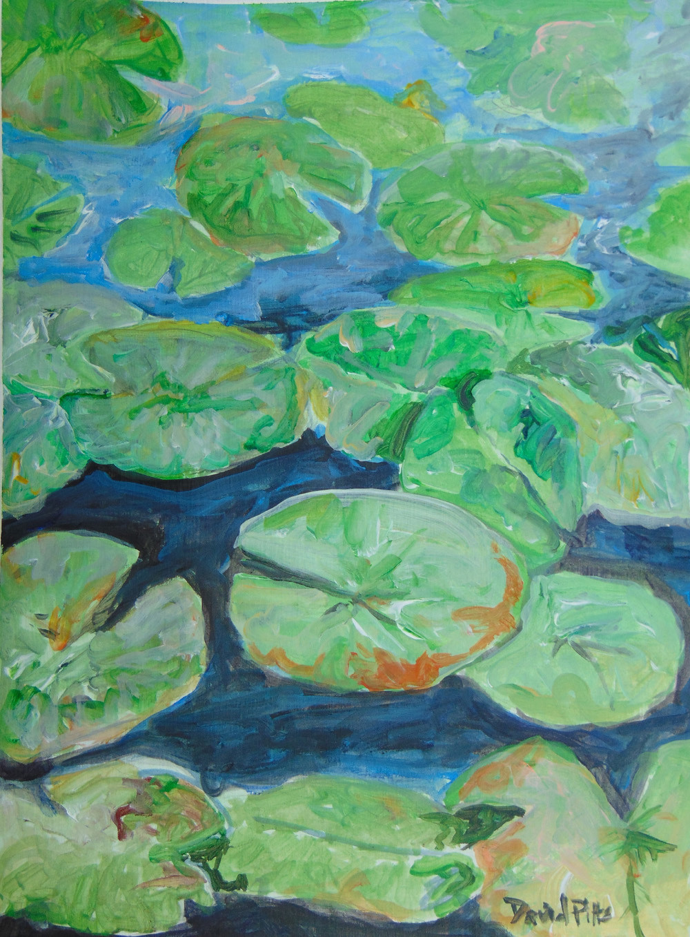 Lily Lake Lily Lake