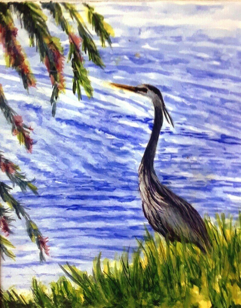 Great Blue Heron Great Blue Heron