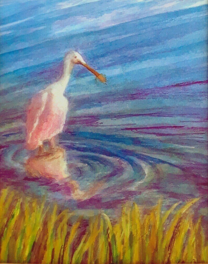 Spoonbill Spoonbill