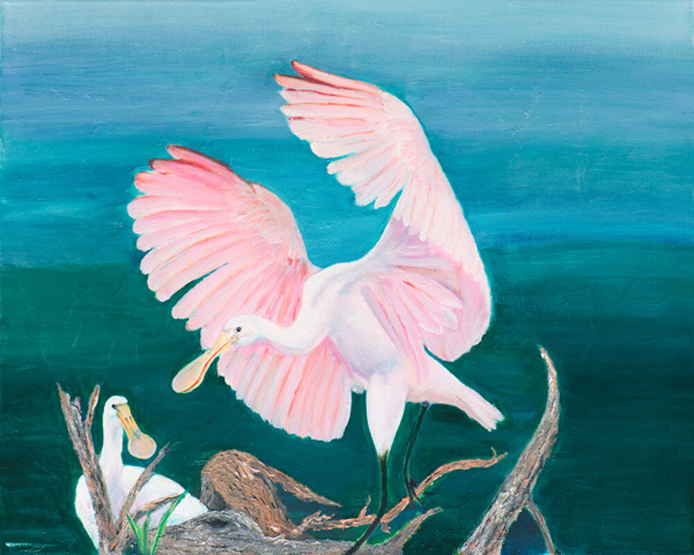 Birds 5 Card Pack Birds 5 Card Pack