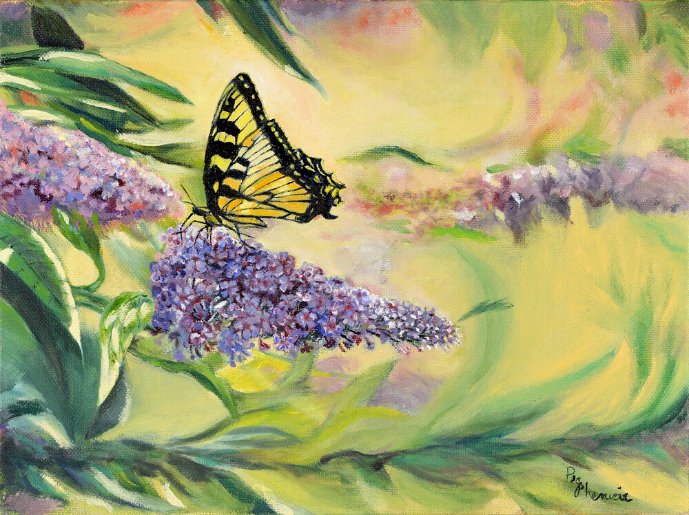 Birds And Butterflies 5 Card Pk Birds And Butterflies 5 Card Pk