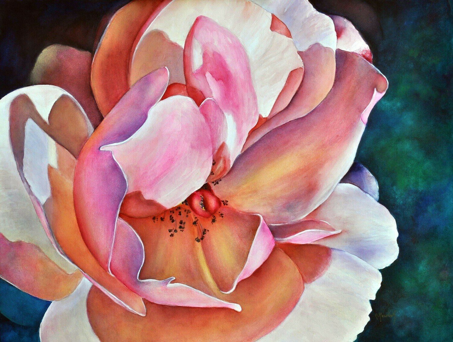 Full Blown - CSM035 Full Blown - CSM035