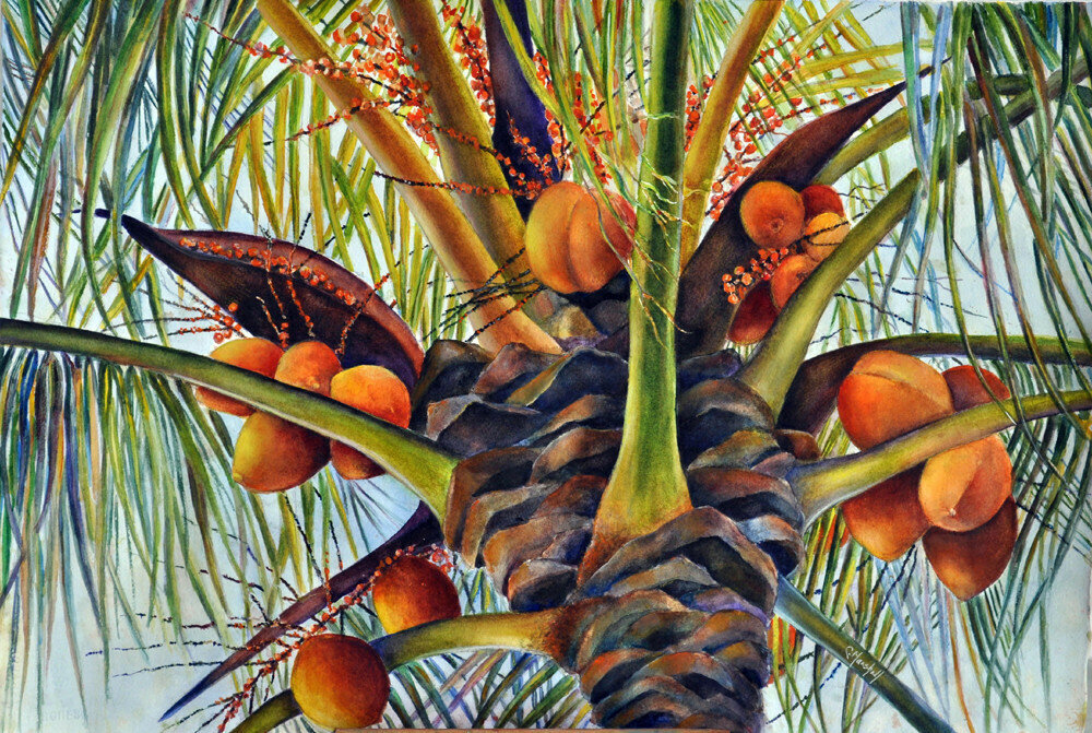 A Lovely Bunch of Coconuts Print A Lovely Bunch of Coconuts Print
