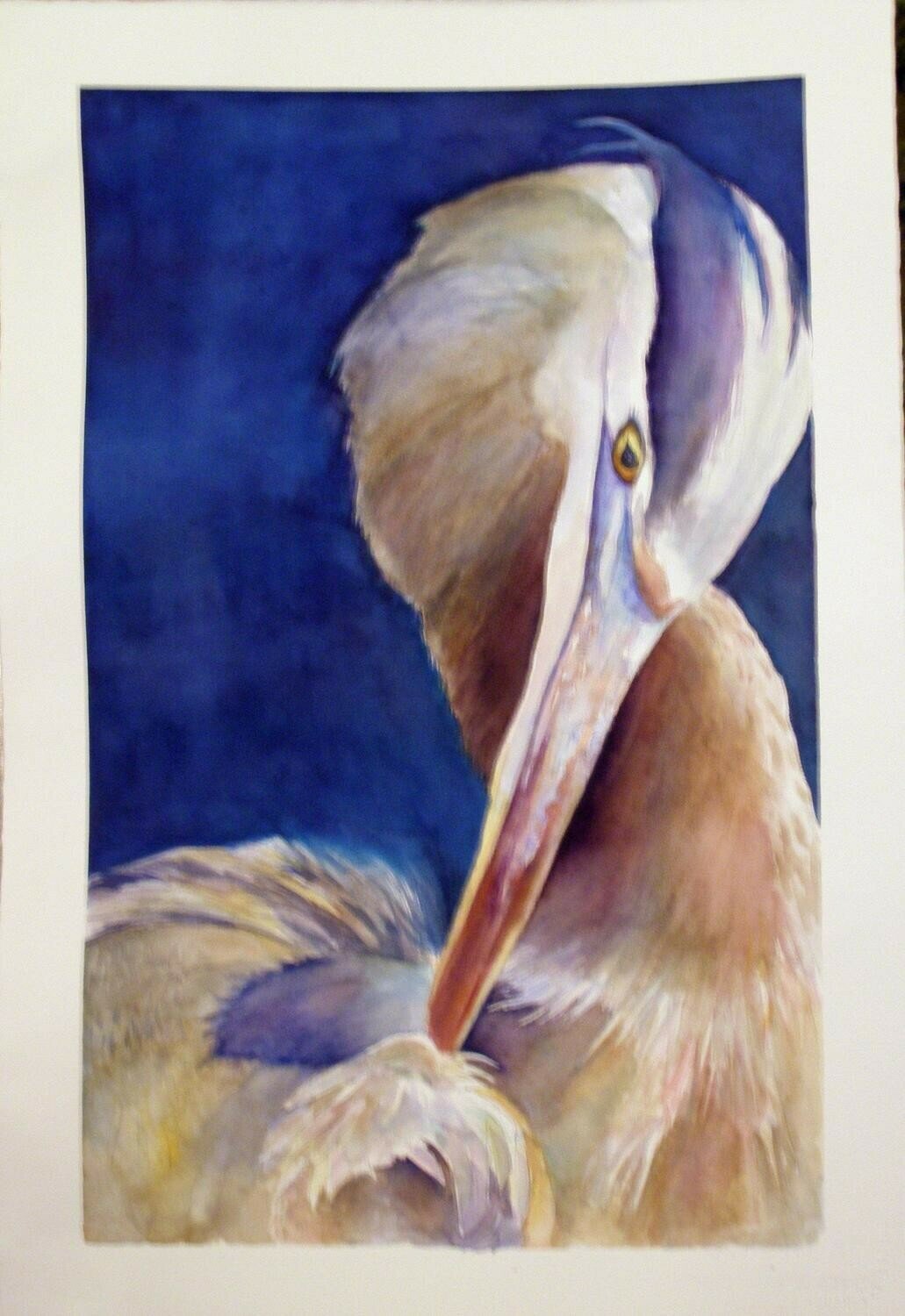 A Pause to Preen A Pause to Preen