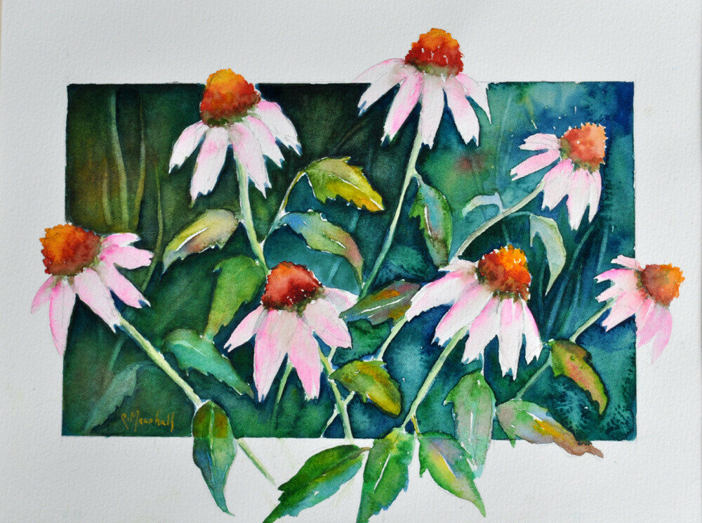 Cone Flower Combo - CSM031 Cone Flower Combo - CSM031