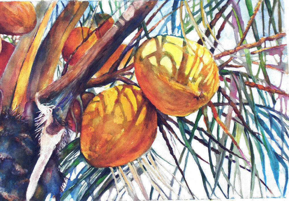 Gone Coconuts - CSM051 Gone Coconuts - CSM051
