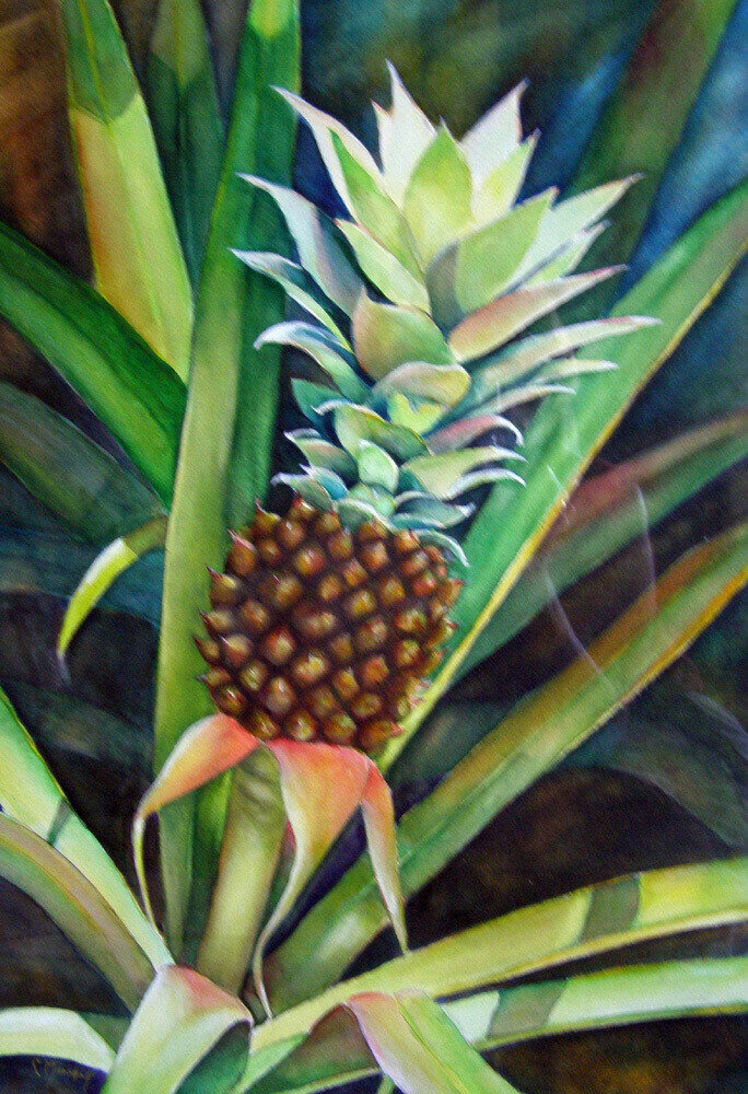 Pina Colata Pina Colata