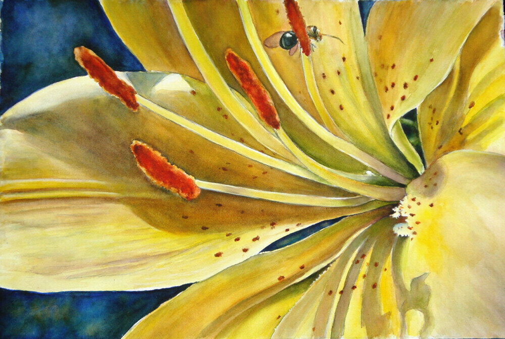 Pollination Pollination