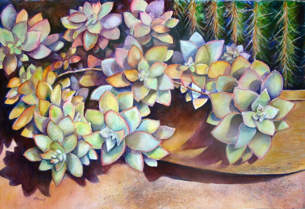 The Cactus Garden Print The Cactus Garden Print