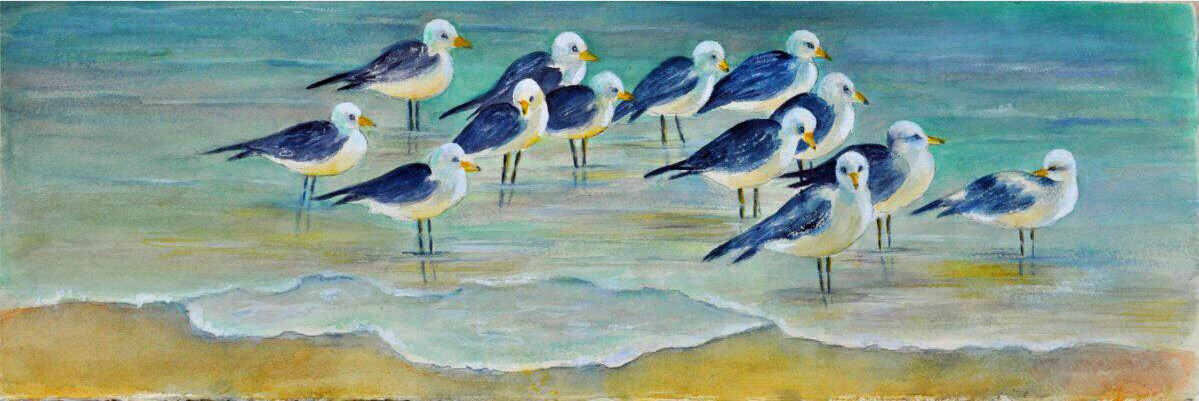 Birds of a Feather - CSM011 Birds of a Feather - CSM011