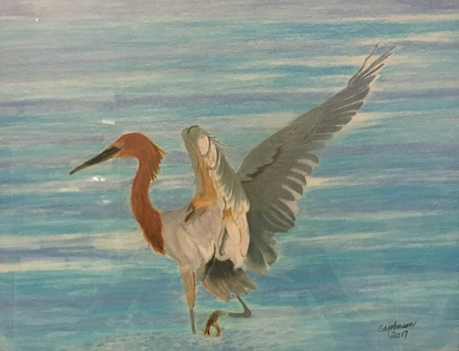 Reddish Egret Card - CAJ045 Reddish Egret Card - CAJ045
