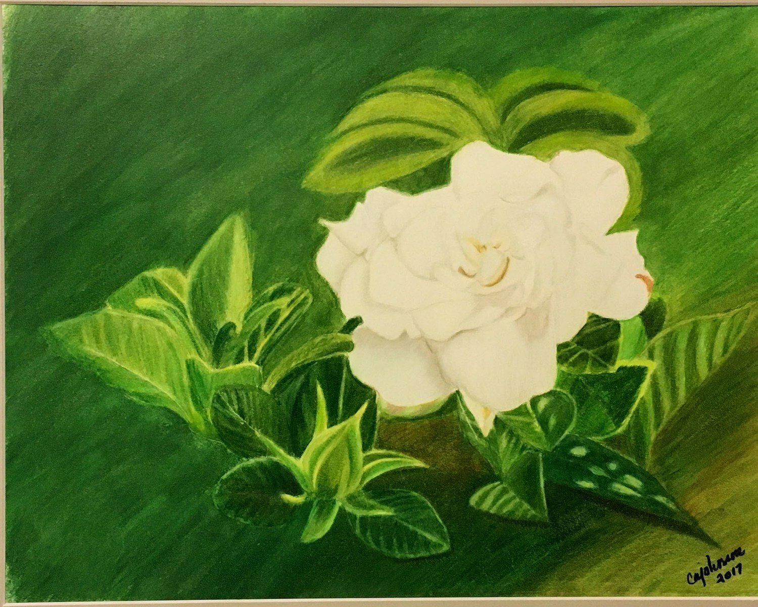 Lonely Gardenia Card - CAJ041 Lonely Gardenia Card - CAJ041