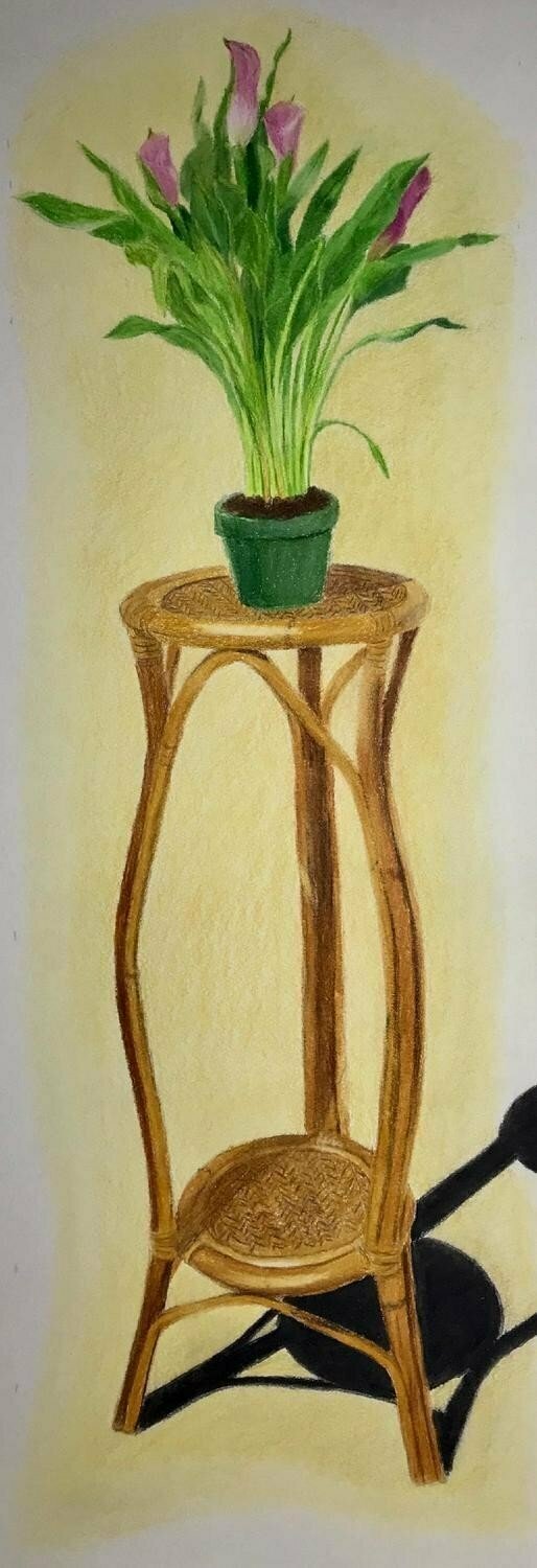 Calla Lilies on a Pedestal - CAJ035 Calla Lilies on a Pedestal - CAJ035