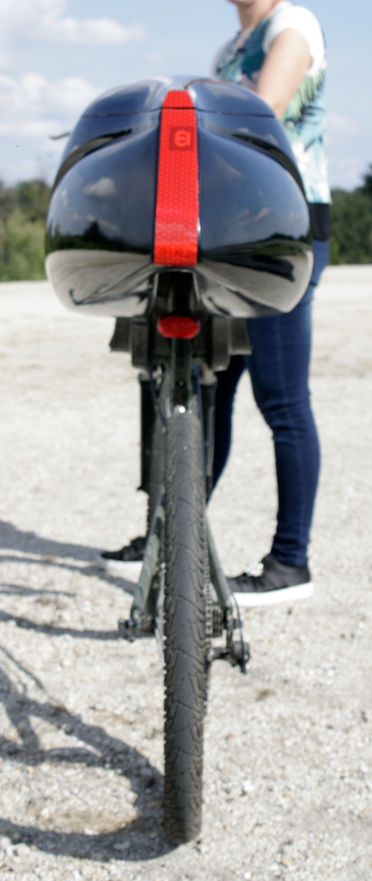 Tailbox Dolphin Fiberglass - Shipping Cost FREE!