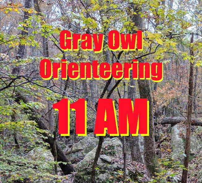 11 AM Gray Owl Orienteering April 18 3Z8ZG8ZQ