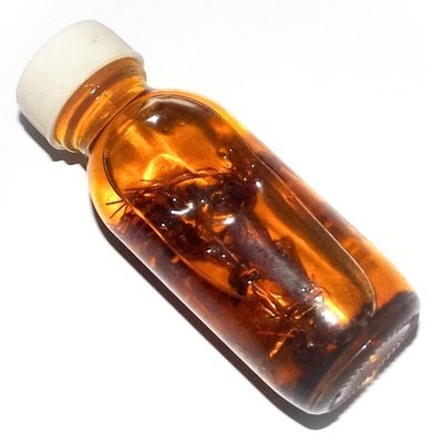 Nam Man Dork Tong Maha Sanaeh Maha Metta Khuad Kroo - Golden Flower Seduction Oil for Intense Attraction Only One Bottle Made - Asrom Por Taw Guwen Nam Man Dork Tong Maha Sanaeh Maha Metta Khuad Kroo - Golden Flower Seduction Oil for Intense Attraction Only One Bottle Made - Asrom Por Taw Guwen