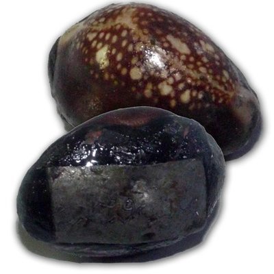 Bia Gae 32 See (1st Edition) for Healing, Anti Poverty and Black Magic Protection - Run Sao Ha 2553 BE - 5th Lunar Saturday Blessing Ceremony - Luang Por Sakorn - Wat Nong Grub Bia Gae 32 See (1st Edition) for Healing, Anti Poverty and Black Magic Protection - Run Sao Ha 2553 BE - 5th Lunar Saturday Blessing Ceremony - Luang Por Sakorn - Wat Nong Grub