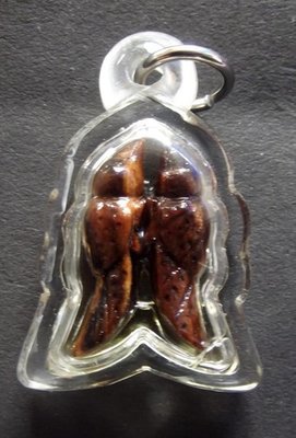 Nok Sariga Koo - Nuea Mai Payung Daeng Gae Liam Nam Man Sariga - Himapant Golden Tongue Celestial Magpie - Hand Carved Magical Wood in Sariga Charm Oil - Ajarn Suntorn Phueak Tiang Nok Sariga Koo - Nuea Mai Payung Daeng Gae Liam Nam Man Sariga - Himapant Golden Tongue Celestial Magpie - Hand Carved Magical Wood in Sariga Charm Oil - Ajarn Suntorn Phueak Tiang