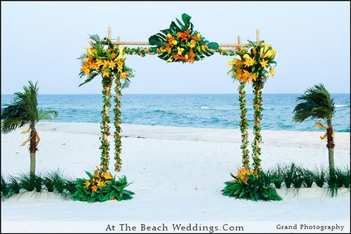 Bamboo Tropic - Beach wedding Package 00029