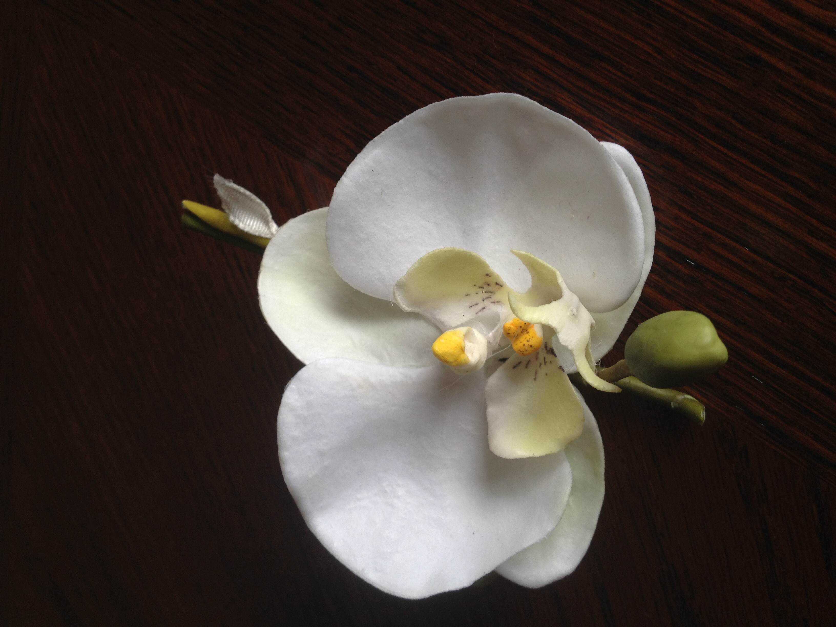 Add-Ons to Wedding Packages- Flowers, Chairs, Walkways, Slideshows and Video