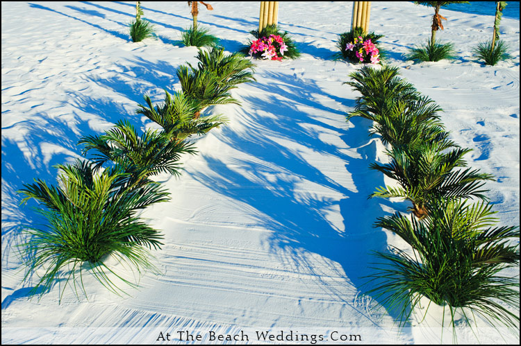 Tropical Blast - Beach Wedding Package