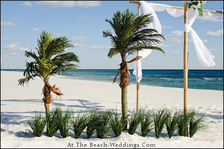 Bamboo Palms - Beach wedding Package