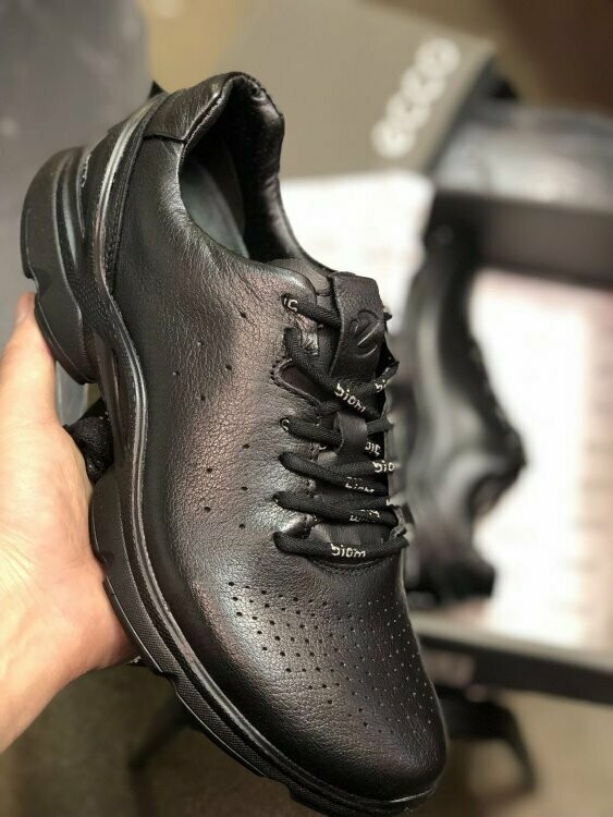 ecco biom evo racer