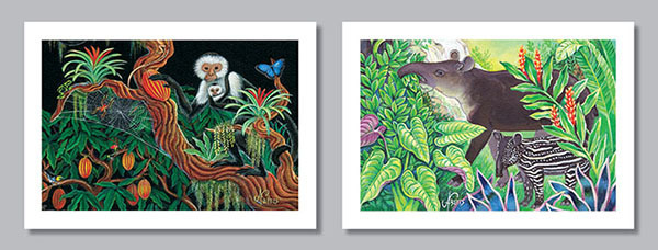 Costa Rica Note Cards CR-CARD SET