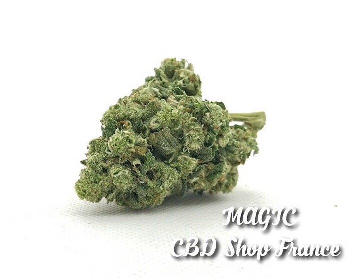 MAGIC MAGIC