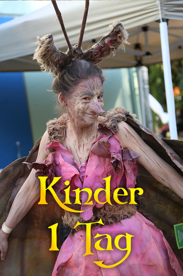 Kinder 1 Tages Ticket Kinder 1 Tages Ticket