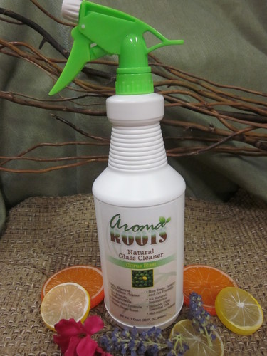 Glass Cleaner 32 oz 609224816826