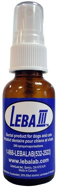LEBA III LEBA III
