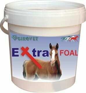 EXTRA FOAL LECHE PARA POTROS ALIMENTO COMPLEMENTARIO  POTROS