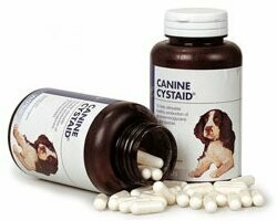 CYSTAID PERROS 120 CAP