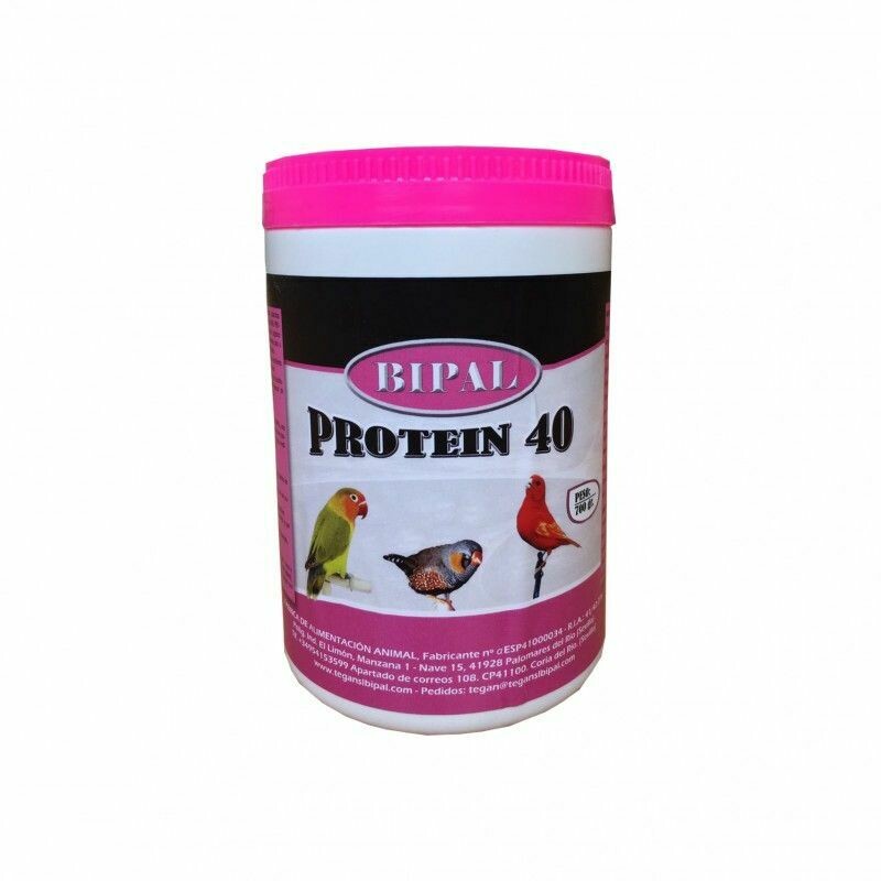 BIPAL PROTEIN 40