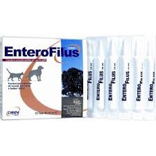 ENTEROFILUS 12X10 ML