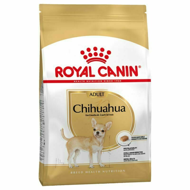 ROYAL CANIN CHIHUAHUA PERRO