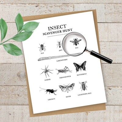 Summertime Fun Series- Insect Scavenger Hunt Free Printable