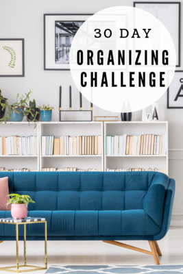30 Day Organization Challenge
