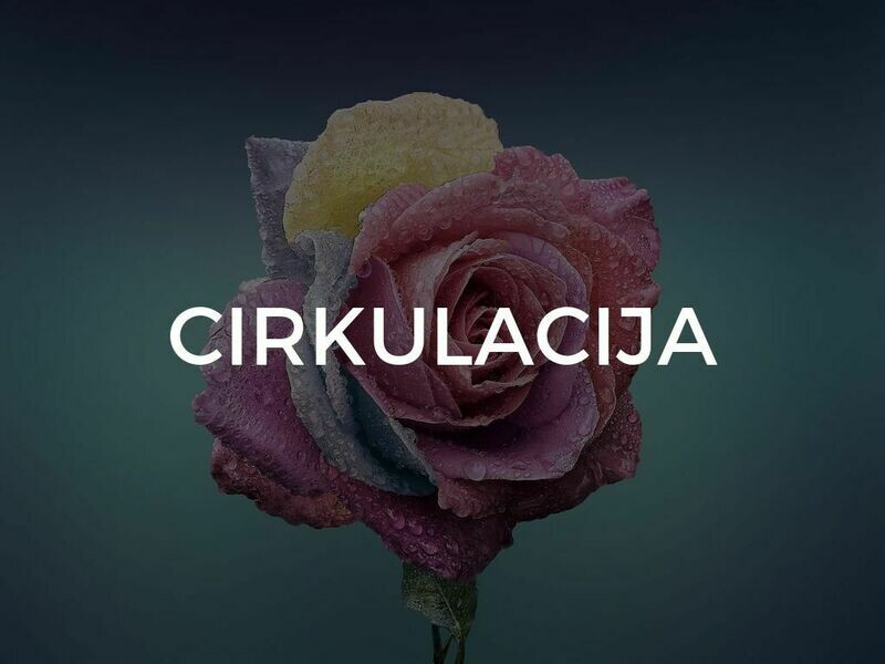 rose i hipertenzija