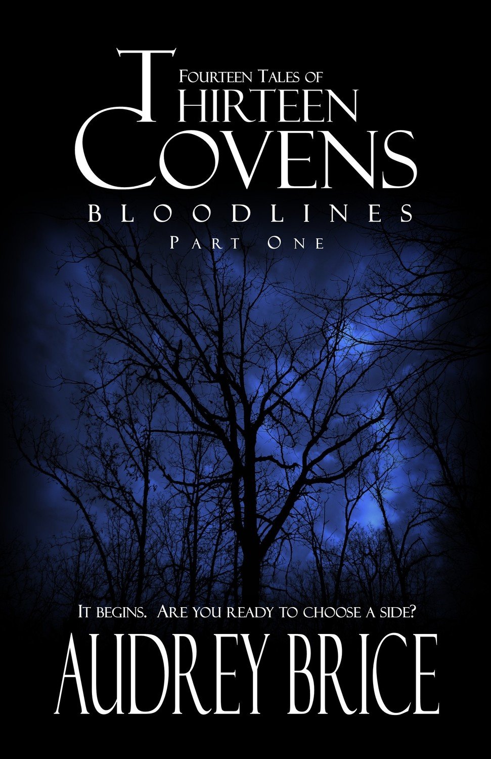 Thirteen Covens (Paperback) Thirteen Covens (Paperback)